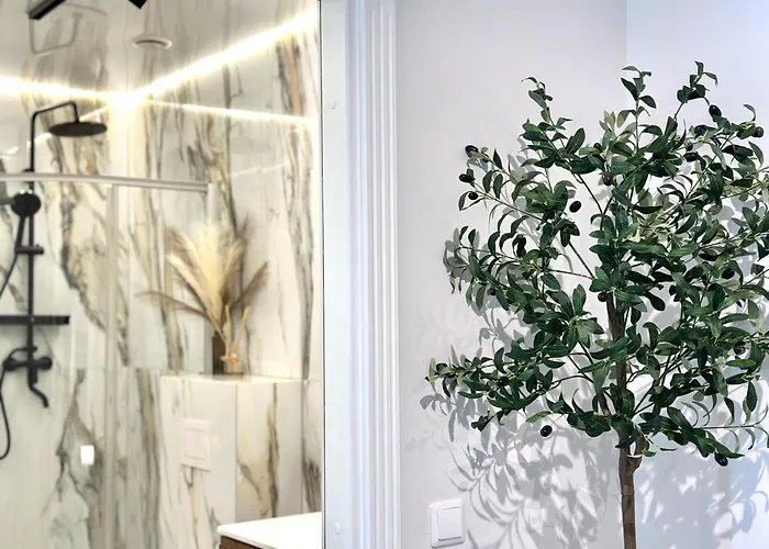 Vaineikio Apartamentai * Palanga